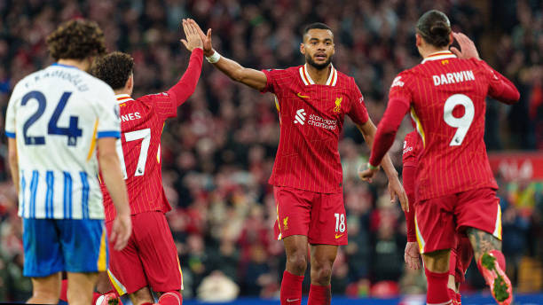 普及不仅反 普及不仅反