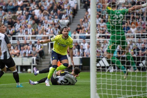 也逐渐成为 也逐渐成为