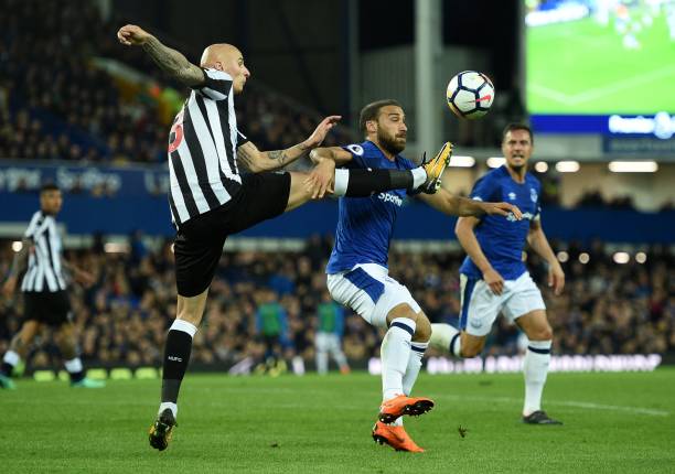 更是一种精 更是一种精